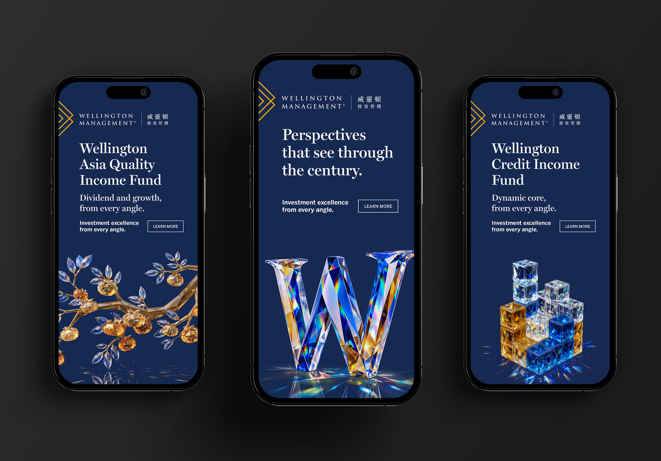 Wellington Every Angle Campaign. Digital advertising