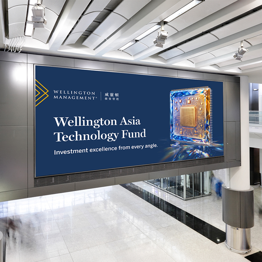 Wellington campaign 2026